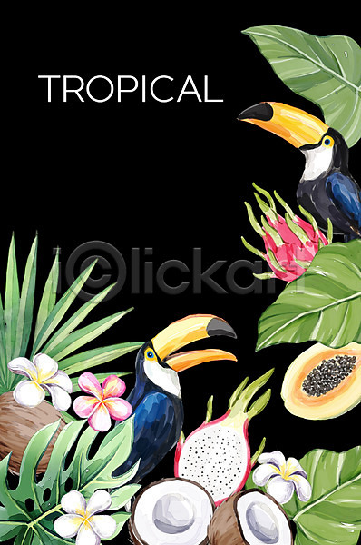 사람없음 PSD 일러스트 두마리 몬스테라 백그라운드 보테니컬아트 야자수잎 여름(계절) 열대꽃 용과 코코넛 큰부리새 트로피컬아트 파파야 플루메리아