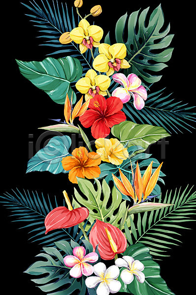 사람없음 PSD 일러스트 극락조화 몬스테라 백그라운드 보테니컬아트 야자수잎 여름(계절) 열대꽃 트로피컬아트 플루메리아 히비스커스