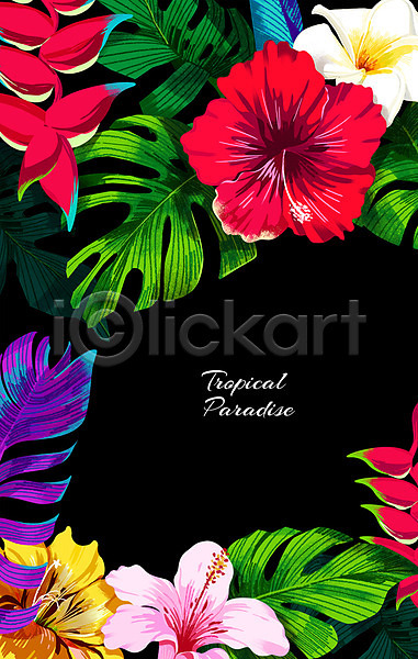 사람없음 PSD 일러스트 프레임일러스트 꽃 식물 열대 열대식물 잎 트로피컬아트 프레임 히비스커스