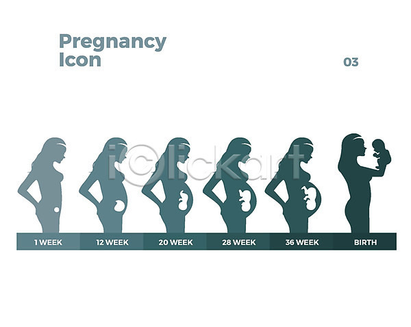 과정 성장 여러명 여자 AI(파일형식) 실루엣 아이콘 웹아이콘 세포 엄마 임산부 임신 태아