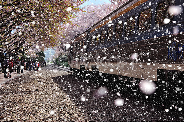 여러명 JPG 포토 겨울 겨울풍경 경상남도 기차 기찻길 나무 눈(날씨) 눈내림 야외 자연 주간 진해 풍경(경치) 한국
