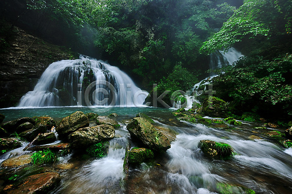 사람없음 JPG 포토 강원도 계곡 나무 물흐름 바위 삼척 숲 숲속 야외 이끼 자연 주간 폭포 풍경(경치) 한국