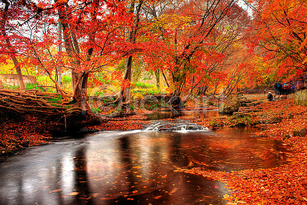 여러명 JPG 포토 가을(계절) 가을풍경 개울 나무 낙엽 단풍 등산객 선운사 야외 자연 주간 풍경(경치) 한국