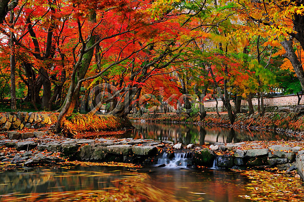 사람없음 JPG 포토 가을(계절) 가을풍경 개울 나무 낙엽 단풍 선운사 야외 자연 주간 풍경(경치) 한국