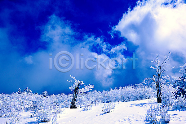 사람없음 JPG 포토 겨울풍경 구름(자연) 나무 눈(날씨) 설경 야외 자연 주간 태백산 풍경(경치) 하늘 한국