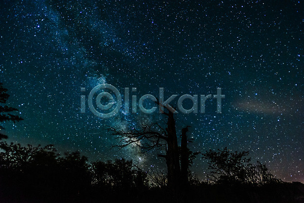 사람없음 JPG 실루엣 포토 강원도 나무 밤하늘 별 야간 야외 은하수(은하) 자연 태백산 풍경(경치)