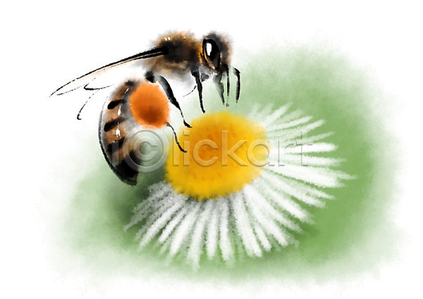 사람없음 PSD 일러스트 곤충 꽃 꿀벌 동물 자연 캘리그라피 한마리