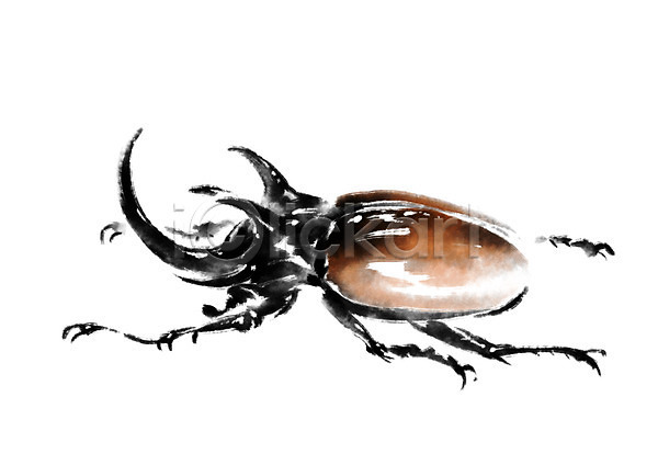 사람없음 PSD 일러스트 곤충 동물 딱정벌레 장수풍뎅이 캘리그라피 한마리