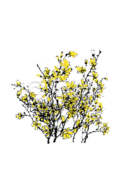 사람없음 PSD 일러스트 꽃 꽃나무 나뭇가지 노란색 식물 캘리그라피