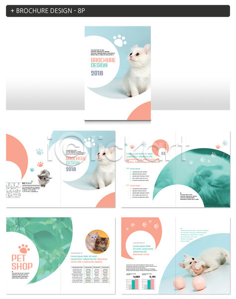 사람없음 INDD ZIP 인디자인 템플릿 고양이 나뭇잎 동물 반려 반려동물 새끼 여러마리 털실 팜플렛