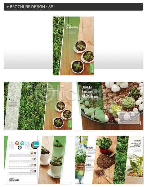 사람없음 INDD ZIP 인디자인 템플릿 다육식물 돌 식물 원예 원예용품 팜플렛 화분 흙