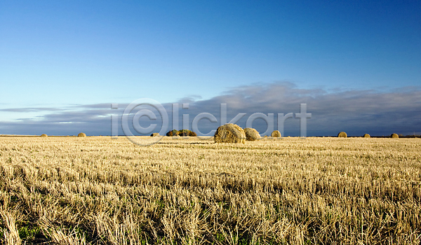 고독 사람없음 JPG 포토 해외이미지 계절 구름(자연) 노란색 농업 밭 볏짚 빨간색 여름(계절) 우주 일몰 자연 태양 풍경(경치) 하늘 해외202004 햇빛 황금