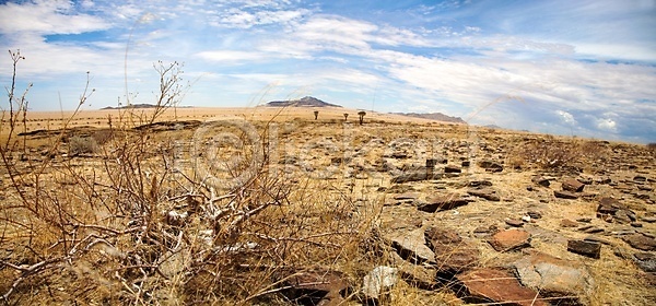 건조 따뜻함 사람없음 JPG 포토 해외이미지 가뭄 구름(자연) 나미비아 내추럴 땅 모래 모래언덕 바위 빨간색 사파리 산 선인장 야외 언덕 자연 칼라하리 파란색 풍경(경치) 하늘 해외202004 환경 황무지