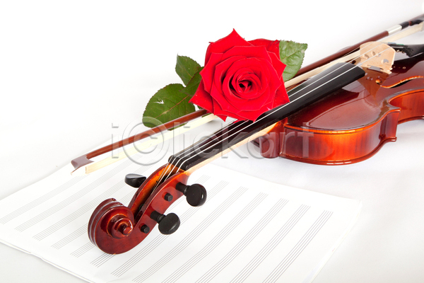 우아함 사람없음 JPG 포토 해외이미지 바이올린 바이올린활 악보 장미 해외202004 흰색