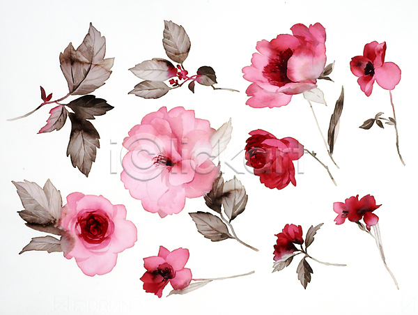 사람없음 JPG 일러스트 해외이미지 그림 꽃 꽃다발 번짐 붓터치 수채화(물감) 식물 해외202004