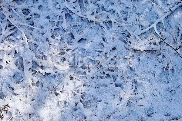 사람없음 JPG 포토 겨울 나뭇가지 눈(날씨) 백그라운드 야외 자연 주간