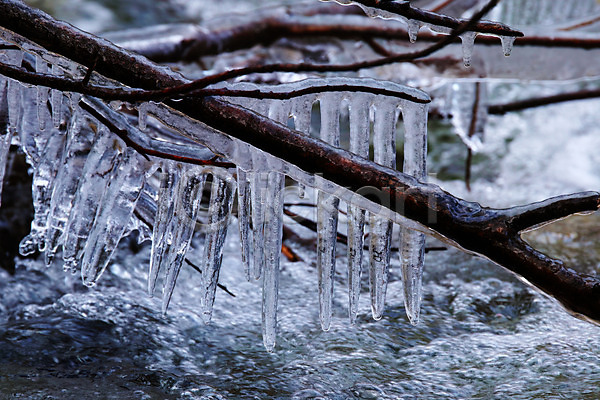 사람없음 JPG 근접촬영 포토 겨울 고드름 나뭇가지 야외 얼음 자연 자연현상 주간