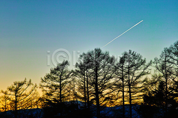 사람없음 JPG 실루엣 포토 나무 노을 비행운 야외 자연 주간 풍경(경치) 하늘