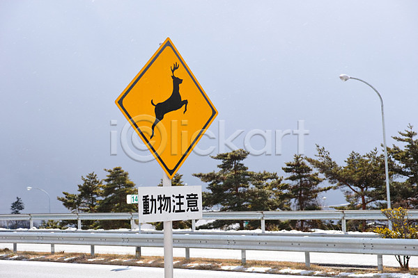 사람없음 JPG 포토 가로등 경고 나무 도로 안전펜스 야생동물 야생동물보호 야외 일본 일본어 주간 표지판 한자