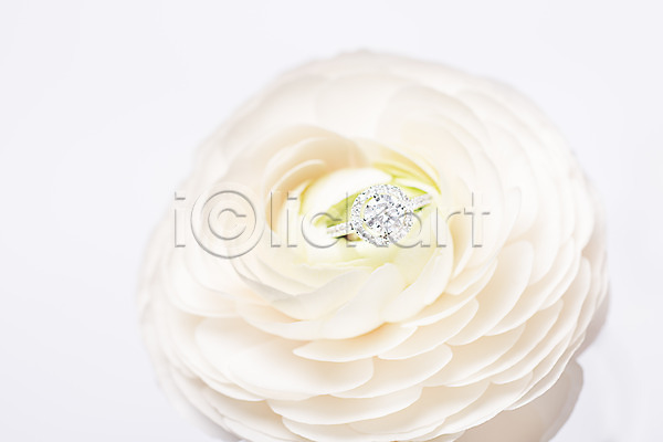 사람없음 JPG 포토 결혼 결혼반지 결혼소품 공백 꽃 백그라운드 오브젝트 카피스페이스