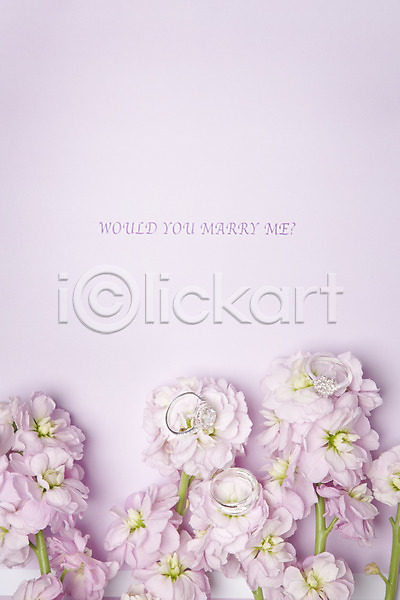 사람없음 JPG 포토 결혼 결혼반지 결혼소품 공백 꽃 백그라운드 오브젝트 카피스페이스 프로포즈
