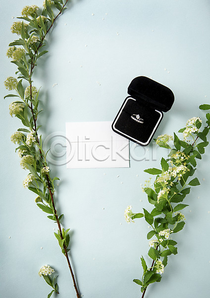 사람없음 JPG 포토 결혼 결혼반지 결혼소품 공백 꽃 반지케이스 백그라운드 오브젝트 카피스페이스