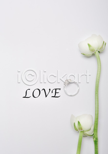 사랑 사람없음 JPG 포토 결혼 결혼반지 결혼소품 공백 꽃 백그라운드 오브젝트 카피스페이스