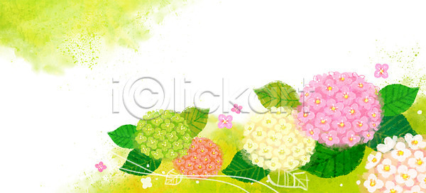 사람없음 PSD 일러스트 계절백그라운드 꽃 꽃백그라운드 나뭇잎 백그라운드 수국 여름(계절) 여름배경 연두색