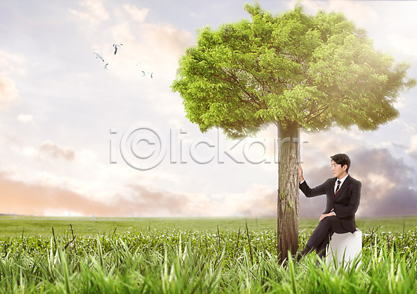 20대 남자 성인 성인남자한명만 한국인 한명 PSD 편집이미지 구름(자연) 나무 비즈니스맨 앉기 자연 잔디 조류 편집 하늘