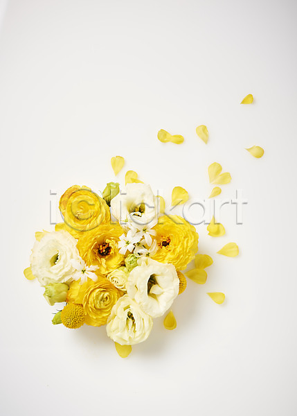 사람없음 JPG 포토 하이앵글 꽃 꽃잎 낙화 노란색 리시안셔스 백그라운드 스튜디오촬영 실내