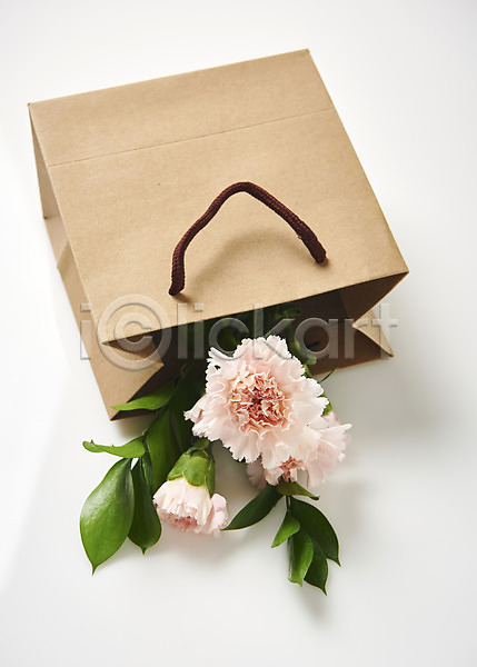 사람없음 JPG 포토 꽃 백그라운드 선물 쇼핑백 스튜디오촬영 실내 카네이션