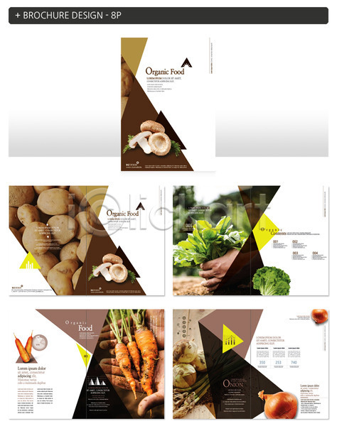 신체부위 INDD ZIP 인디자인 템플릿 감자 건강 당근 버섯 손 양파 채소 팜플렛