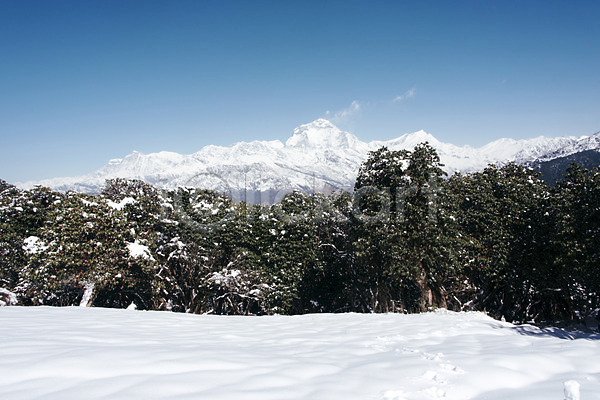 사람없음 JPG 포토 나무 네팔 눈(날씨) 만년설 산 안나푸르나 야외 자연 주간 풍경(경치) 하늘 해외풍경 히말라야