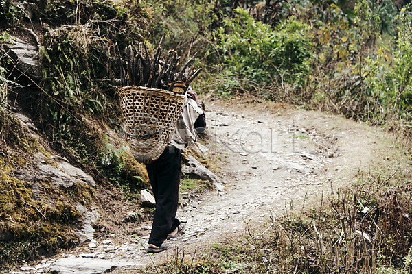 남자 성인 한명 JPG 뒷모습 포토 걷기 나뭇가지 네팔 안나푸르나 야외 자연 전신 주간 풍경(경치) 해외풍경