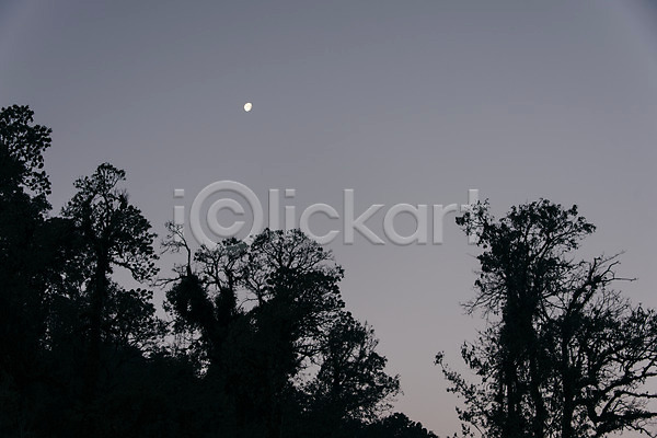 사람없음 JPG 포토 나무 네팔 달 안나푸르나 야간 야외 자연 풍경(경치) 해외풍경
