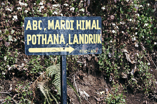 사람없음 JPG 포토 꽃 네팔 식물 안나푸르나 야외 자연 주간 표지판 풍경(경치) 해외풍경 화살표