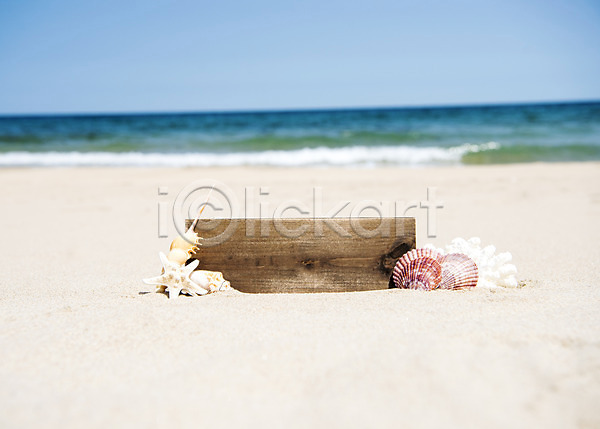 휴식 사람없음 JPG 아웃포커스 포토 나무판자 모래 모래사장 바다 야외 여름(계절) 여름풍경 조개 조개껍데기 주간 풍경(경치) 휴가