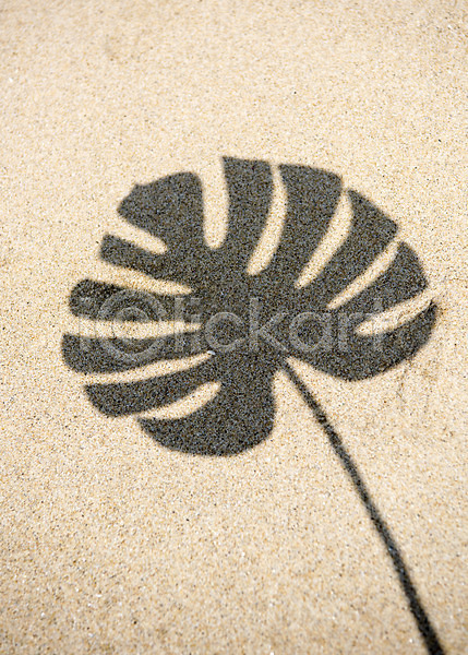 휴식 사람없음 JPG 포토 그림자 나뭇잎 모래 모래사장 몬스테라 야외 여름(계절) 여름풍경 주간 풍경(경치) 휴가
