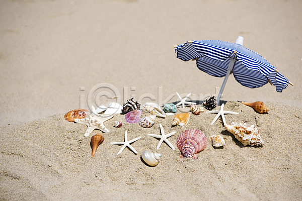 휴식 사람없음 JPG 포토 모래 모래사장 불가사리 야외 여름(계절) 여름풍경 조개 조개껍데기 주간 파라솔 풍경(경치) 휴가