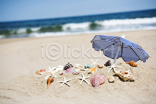 휴식 사람없음 JPG 아웃포커스 포토 모래 모래사장 바다 불가사리 야외 여름(계절) 여름풍경 조개 조개껍데기 주간 파라솔 풍경(경치) 휴가
