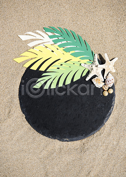 휴식 사람없음 JPG 포토 나뭇잎 돌 모래 모래사장 불가사리 야외 여름(계절) 조개 조개껍데기 주간 휴가