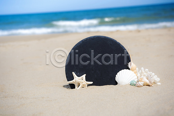 휴식 사람없음 JPG 포토 돌 모래 모래사장 바다 불가사리 야외 여름(계절) 여름풍경 조개 조개껍데기 주간 풍경(경치) 휴가