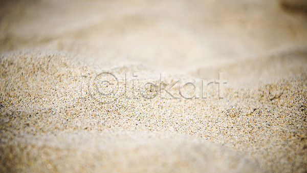 휴식 사람없음 JPG 근접촬영 아웃포커스 포토 모래 모래사장 야외 여름(계절) 여름풍경 주간 풍경(경치) 휴가