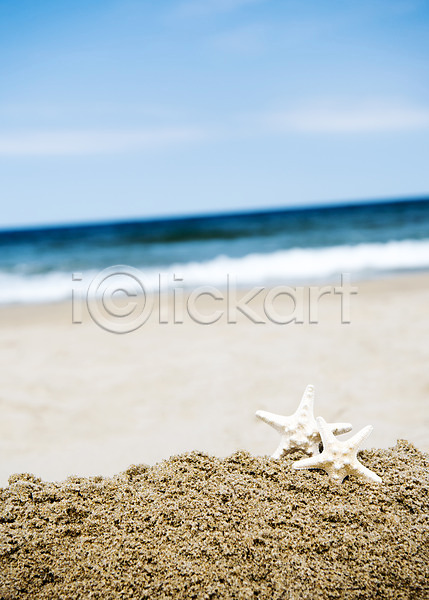 휴식 사람없음 JPG 아웃포커스 포토 모래 모래사장 바다 불가사리 야외 여름(계절) 여름풍경 주간 풍경(경치) 휴가