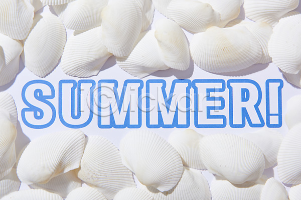사람없음 JPG 포토 껍질 바캉스 스튜디오촬영 실내 여름(계절) 여름휴가 조개 조개껍데기 흰색