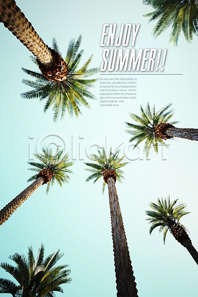 사람없음 3D PSD 디지털합성 로우앵글 편집이미지 그래픽 야외 야자수 여름(계절) 주간 하늘
