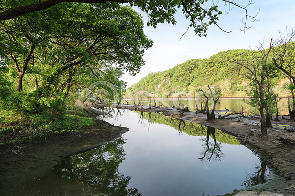 사람없음 JPG 포토 공원 나무 대전 대청공원 반사 숲 야외 자연 주간 초록색 풍경(경치) 한국 호수
