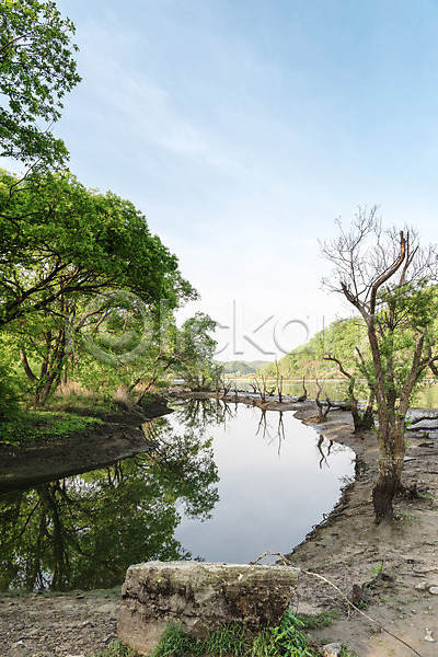 사람없음 JPG 포토 가뭄 공원 나무 대전 대청공원 반사 숲 야외 자연 주간 초록색 풍경(경치) 하늘 한국 호수