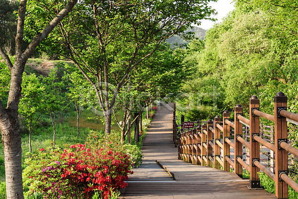 사람없음 JPG 포토 공원 꽃 나무 대전 대청공원 산책로 숲 실 야외 원근감 자연 주간 초록색 풍경(경치) 한국