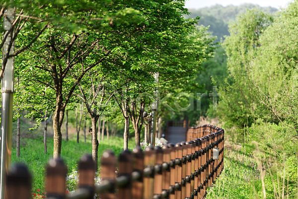 사람없음 JPG 포토 공원 나무 대전 대청공원 산책로 숲 야외 울타리 원근감 자연 주간 초록색 풍경(경치) 한국